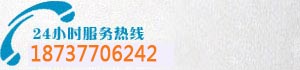 18737706242